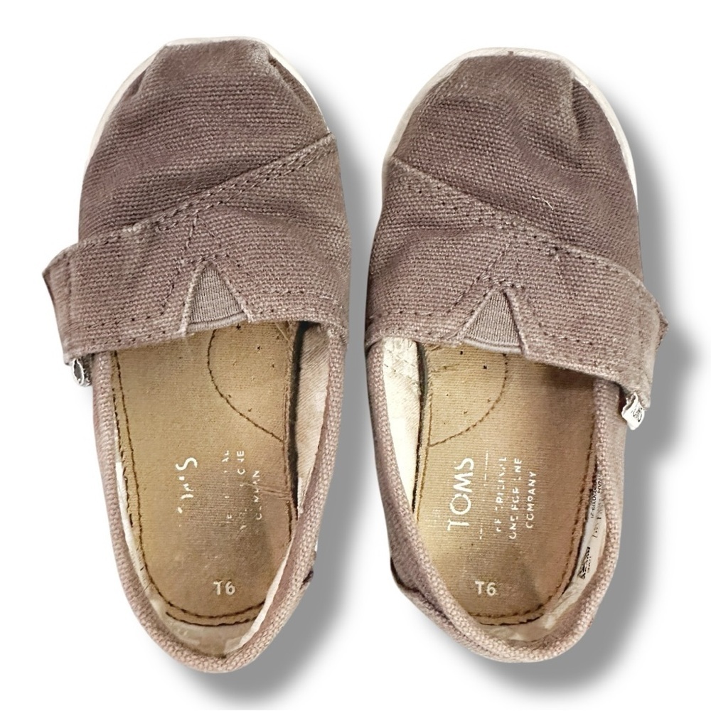 Toms | Alpargata Classic Toddler Shoe (6T) 🩶